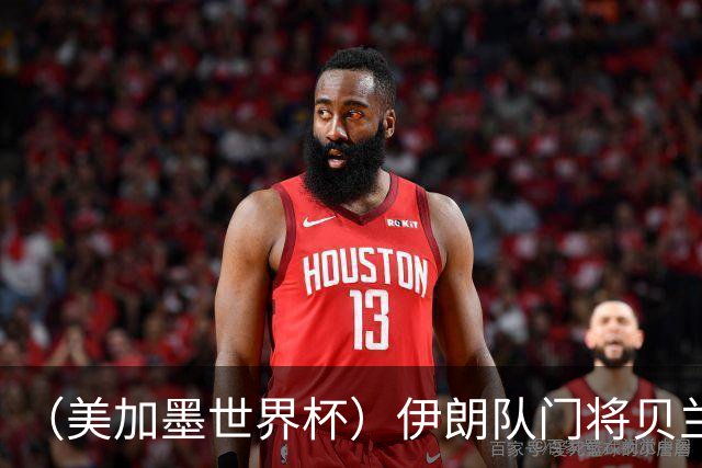 （美加墨世界杯）伊朗队门将贝兰万德的“满分”